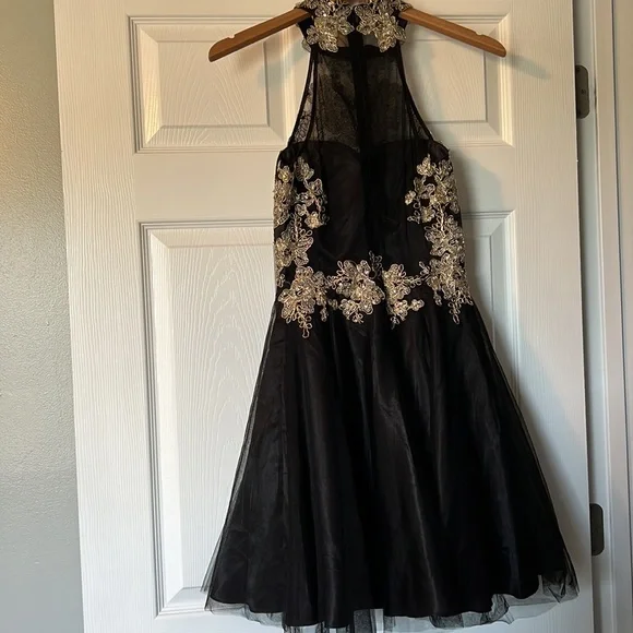 Bee Darlin Dress | Princess Halter Neck | Full Zipper Lined - Picture 5 of 5